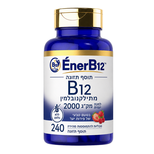 EnerB12